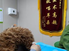 -瑞鹏宠物医院·眼科·皮肤·中兽医(大悦城分院)
