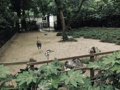 -无锡动物园·太湖欢乐园