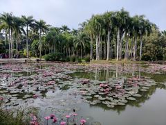-中国科学院西双版纳热带植物园