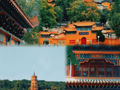 -月湖风景区