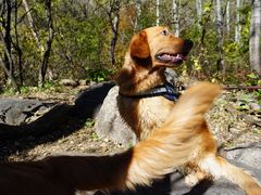 景点-玉渡山自然风景区