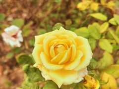 -北京植物园南门售票处