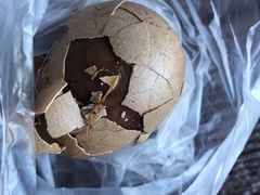 -金盆阿嬷香菇茶叶蛋(玄光店)