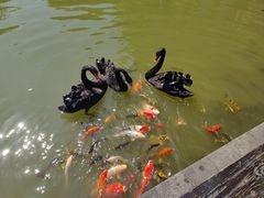 -天目湖涵田半山温泉