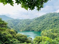 -鼎湖山风景区