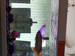 -聚鑫阁江浙菜·非遗传承技艺(闵行交大店)