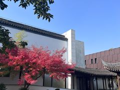 -秋霞圃