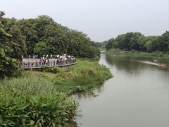 -海珠湖公园