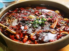 -青城甲(青城山店)