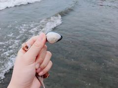 -台山黑沙湾海浴场