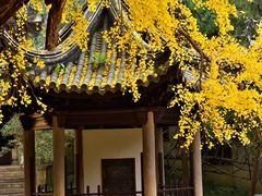 -无锡惠山寺