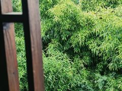 -煮雨小筑(斜塘老街店)