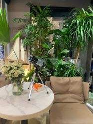 -ChenV西服礼服高级定制(市区养育巷店)