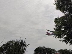 -空港花田景区