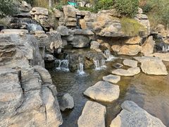-环城公园