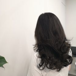 -Y-STUDIO原理