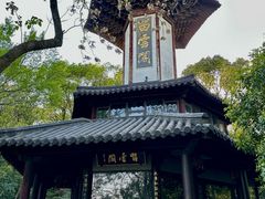 -上海佘山国家森林公园天马山园