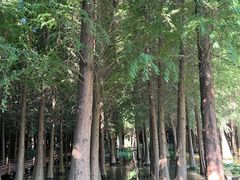 -捞渔河湿地公园