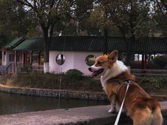 -太子山公园(园东路)