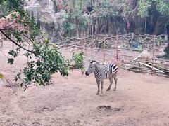 -长鹿旅游休博园