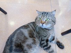 -友联菜馆(杉木栏路店)