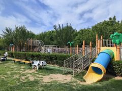 -廊坊固安福朋喜来登酒店