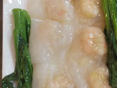 -金龙寨(龙城路店)