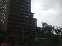 -三亚湾红树林度假世界(木棉酒店)