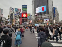-涩谷区