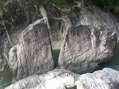 -广州白江湖森林公园