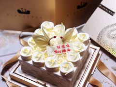 -BLACKSWAN黑天鹅(环球店)