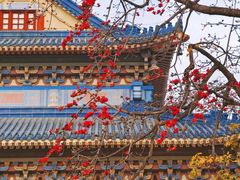 -广州中山纪念堂