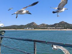 -海驴岛(荣成市)