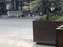 -布鲁塞尔大广场
