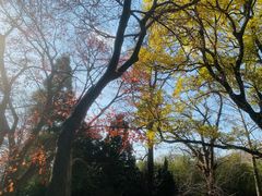 -青岛崂山太清宫
