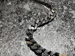 -梵薇Joker.V银饰工作室