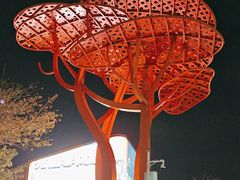 -欢乐海岸水秀剧场