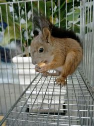 -周忆刺青原创设计定制