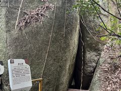 -霸王岭国家森林公园