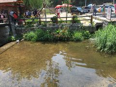 iphone_upload_pic-北京水岸山吧度假村(雁栖镇店)