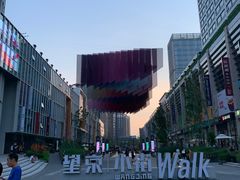 -巴依老爷新疆美食(望京小街店)