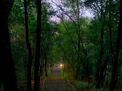 -神光山国家森林公园