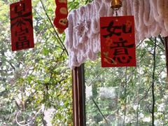 -猫的天空之城概念书店(苏州平江店)