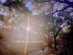 -闵行体育公园(七宝镇)