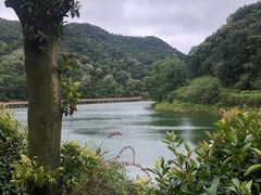-桃花岭景区