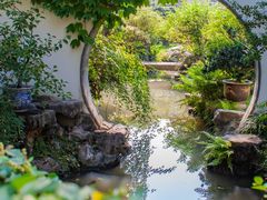 -上海醉白池公园