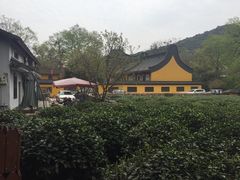 -杭州西湖风景名胜区-三生石