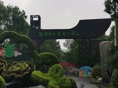 -溱湖国家湿地公园