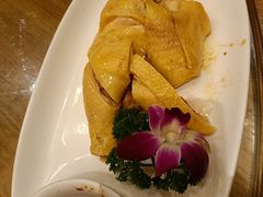 -新白鹿餐厅(龙游路店)