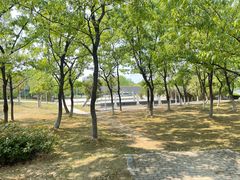 -白塘生态植物园